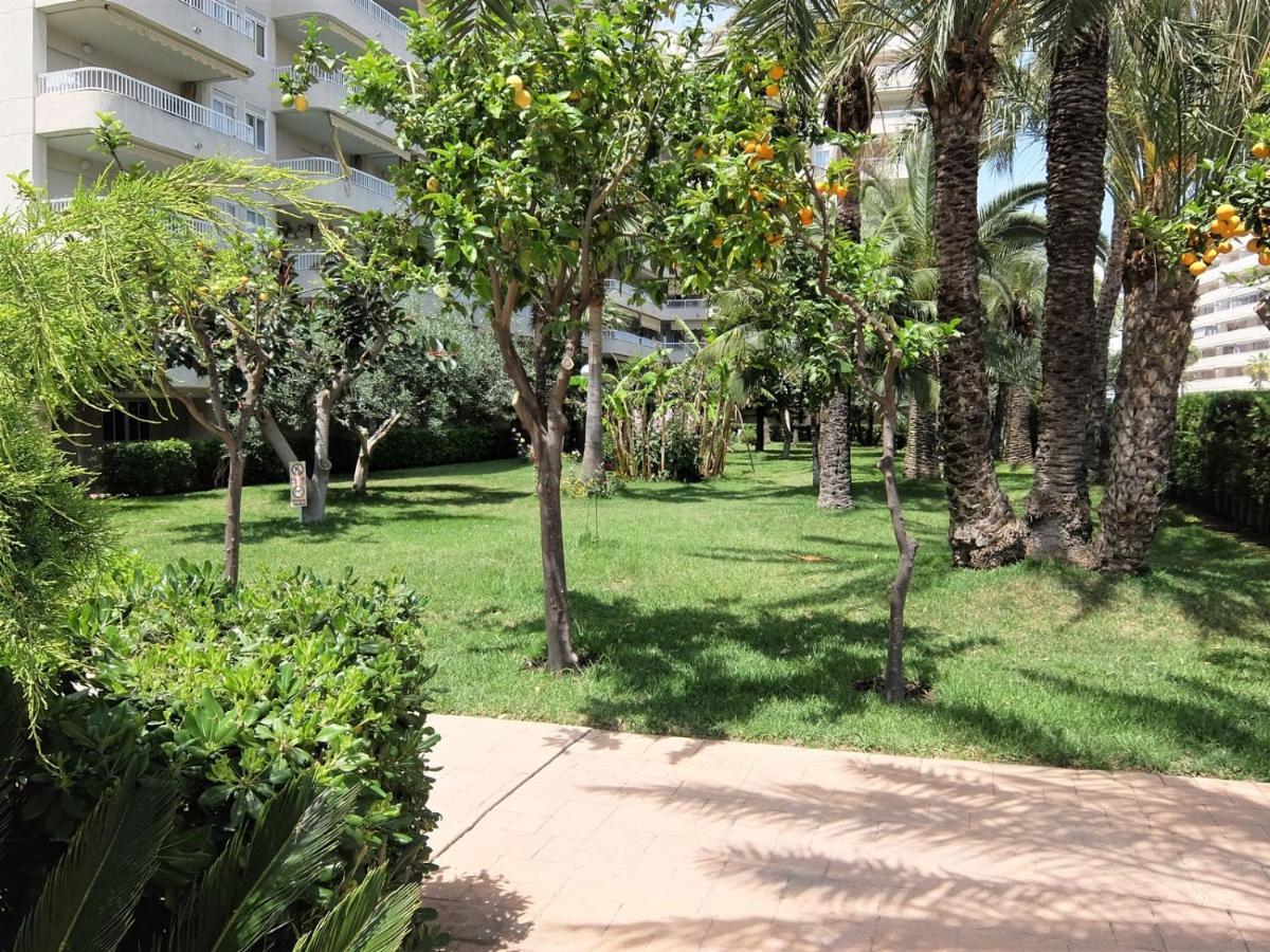 Parque Mota - Alquiler Solo A Familias Lägenhet Playa de Gandia Exteriör bild